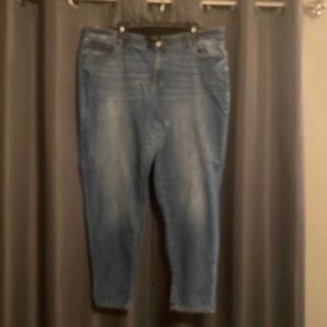 Lane Bryant jeans